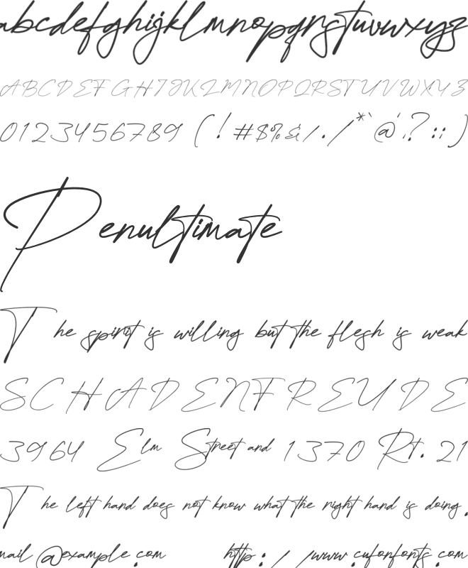 Attallia Signature font preview