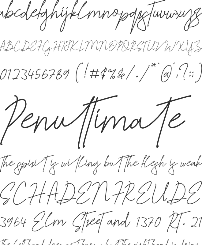 Jelitta Signature font preview