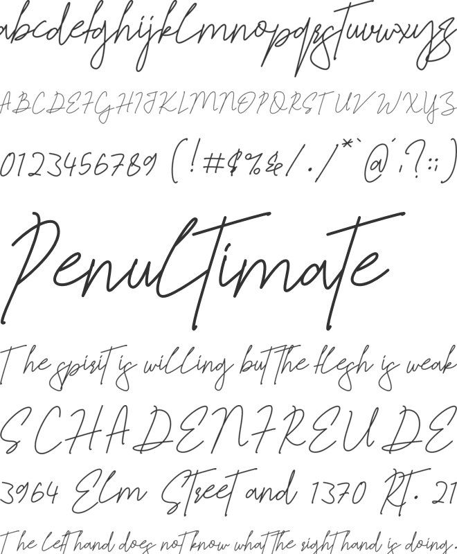 Jelitta Signature font preview