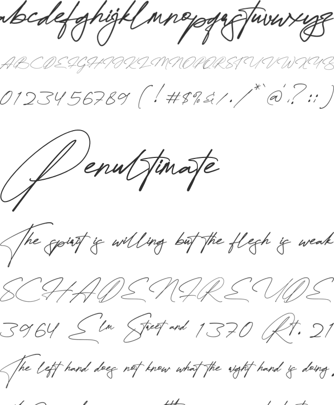 Quenttine Signature font preview