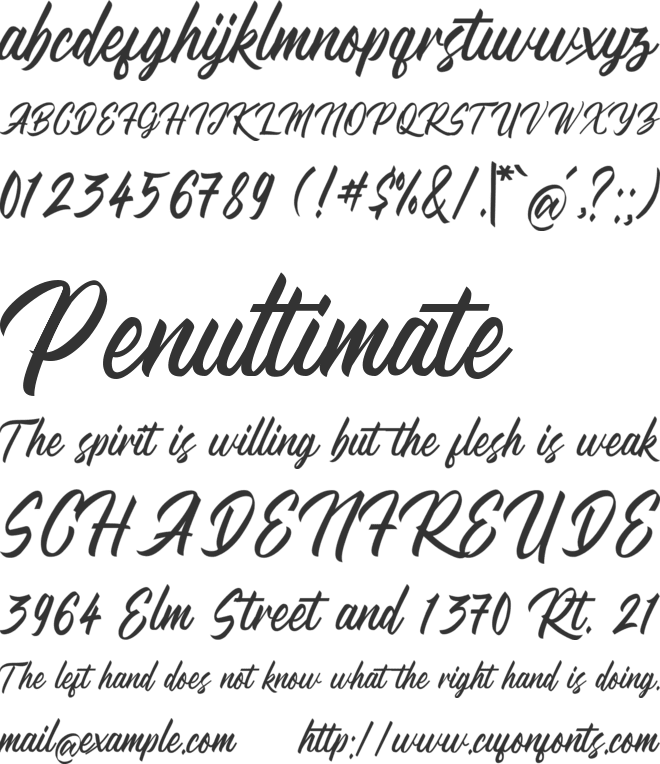 Rits Calltown font preview