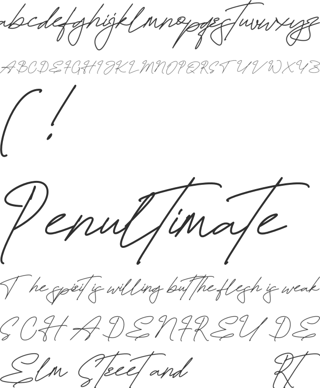 Hamiltton Signature Personal Use Only font preview
