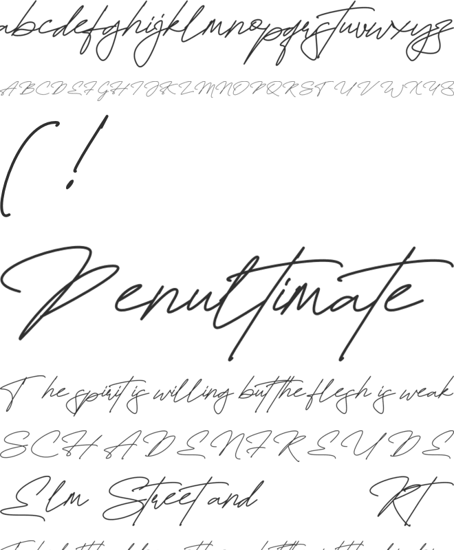 Fayetteville Signature Personal Use Only font preview