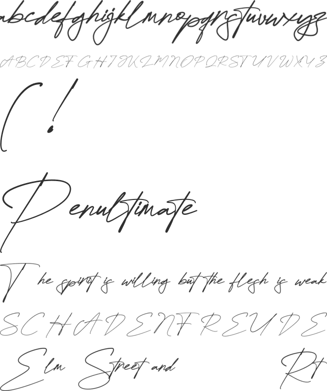 Attallia Signature Personal Use Only font preview