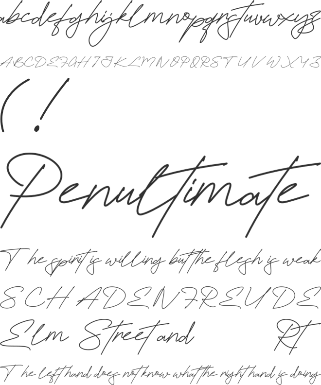 Futturistica Signature Personal Use Only font preview