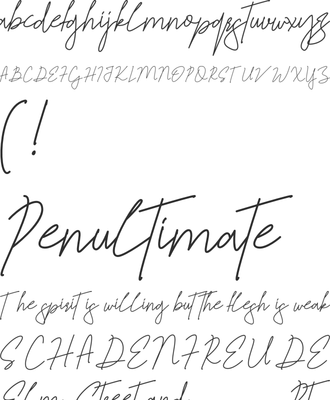 Jelitta Signature Personal Use Only font preview