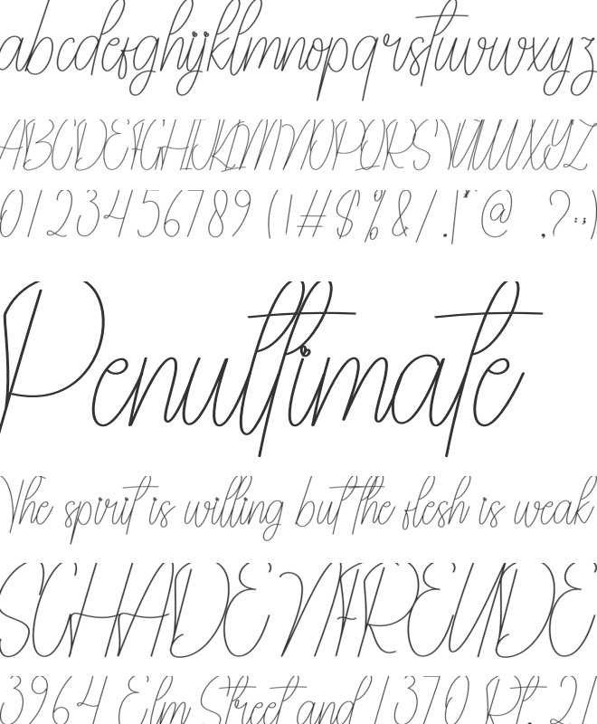 Angelyn font preview