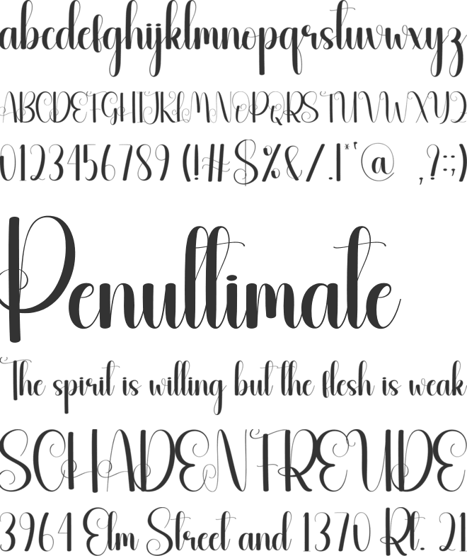 Plasticbagh font preview