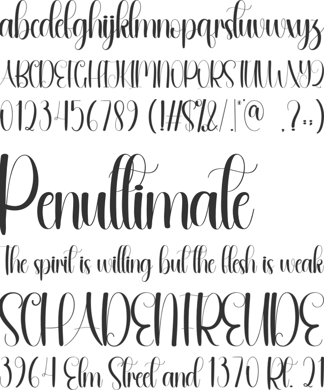 Amature font preview