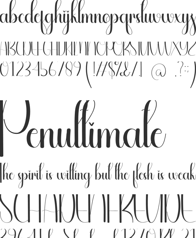 Spaceroom font preview
