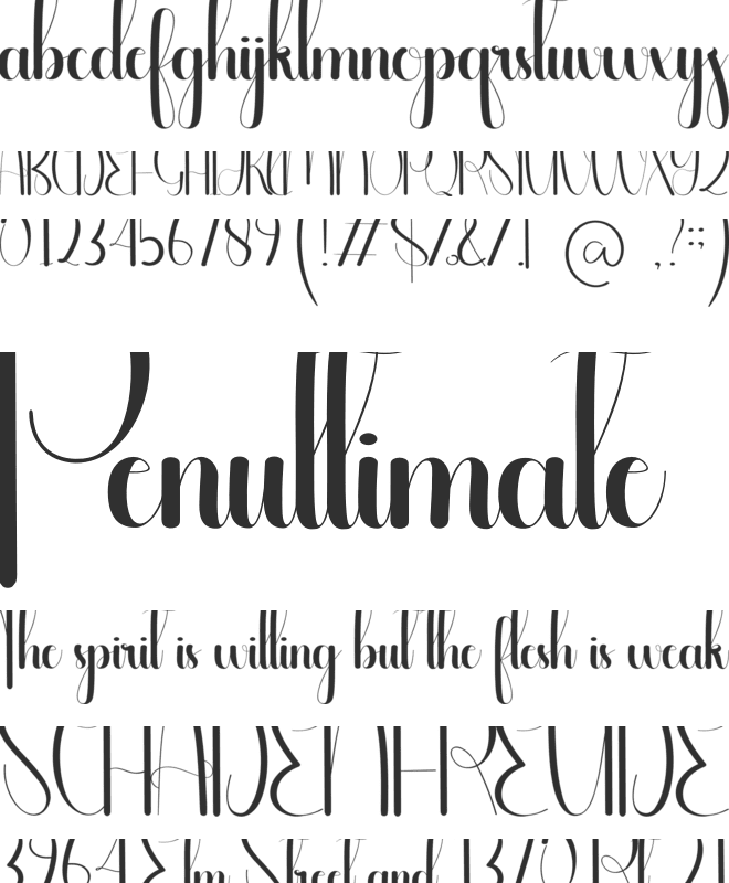 Tidy font preview
