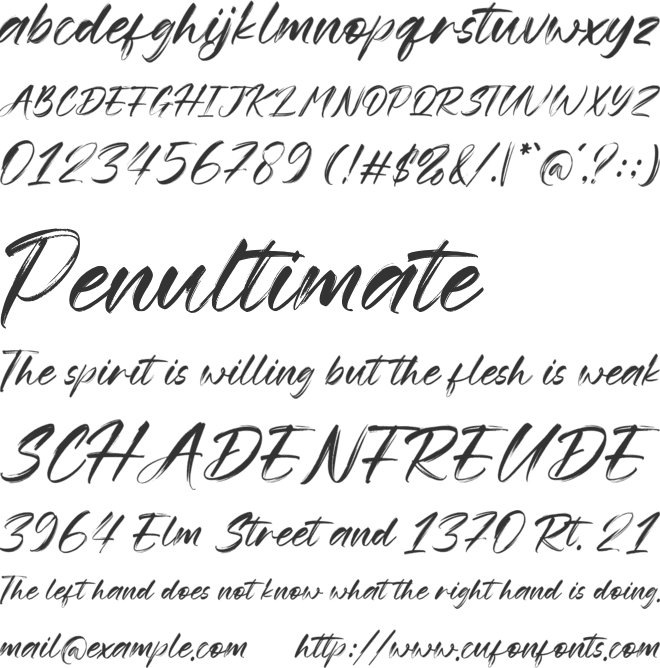 Risthiya Brush font preview