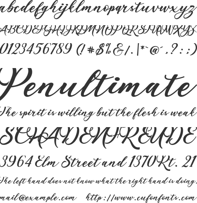 Maulie Script font preview