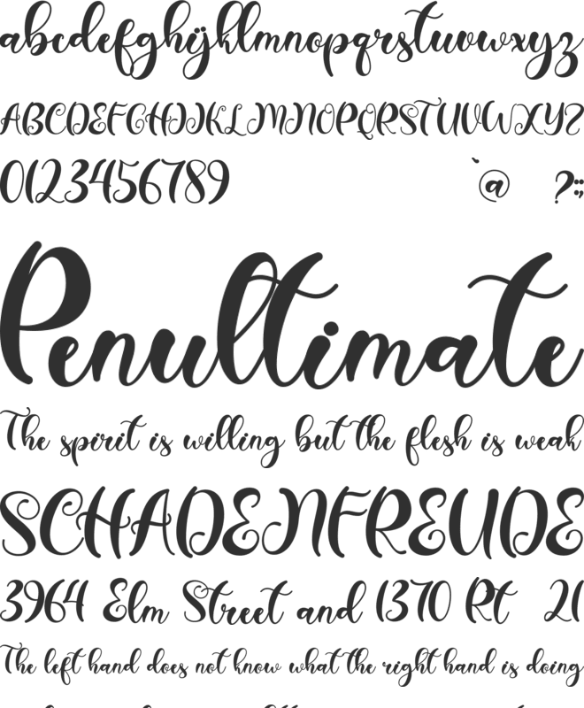 Christmas Holiday Monogram font preview