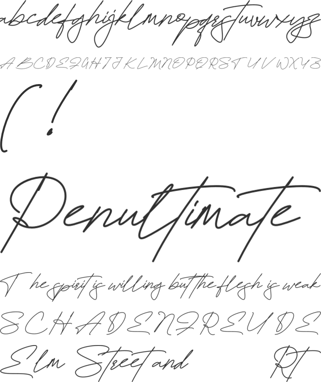 Brittney Signature Personal Use Only font preview