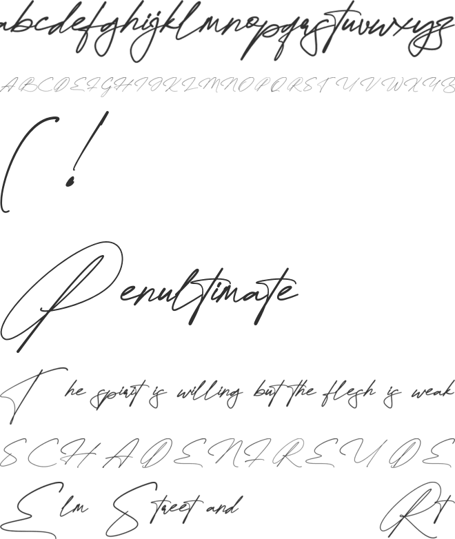 Quenttine Signature Personal Use Only font preview