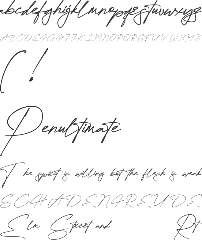 Dellany Signature Personal Use Only font preview