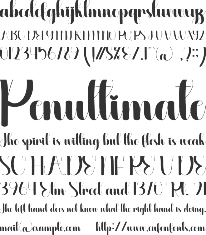 Neigbour font preview