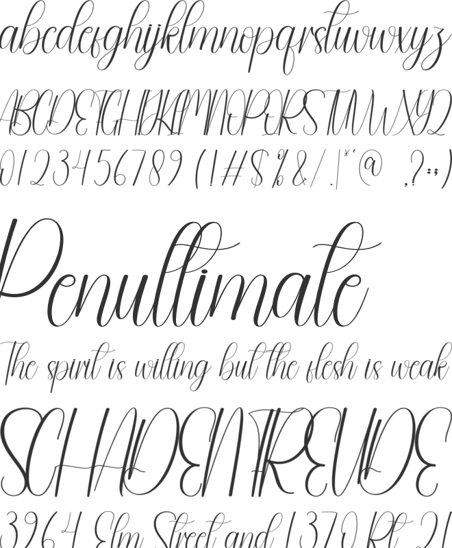 Magneton font preview