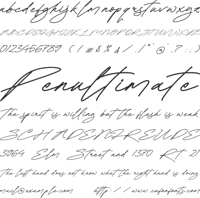 Ratherlafia Forghive font preview