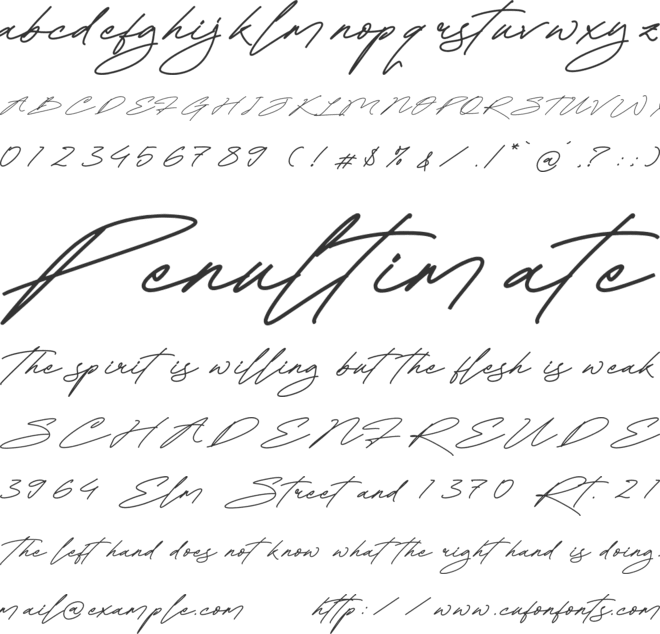 Ratherlafia Forghive font preview