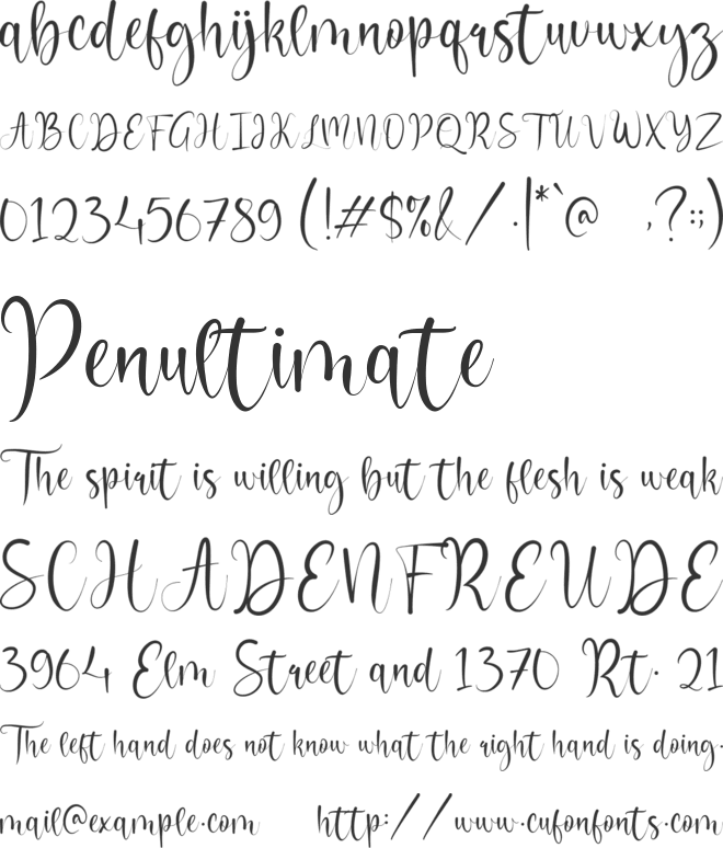 Camelluna font preview