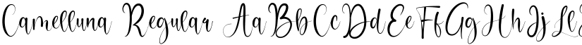 Camelluna Regular font