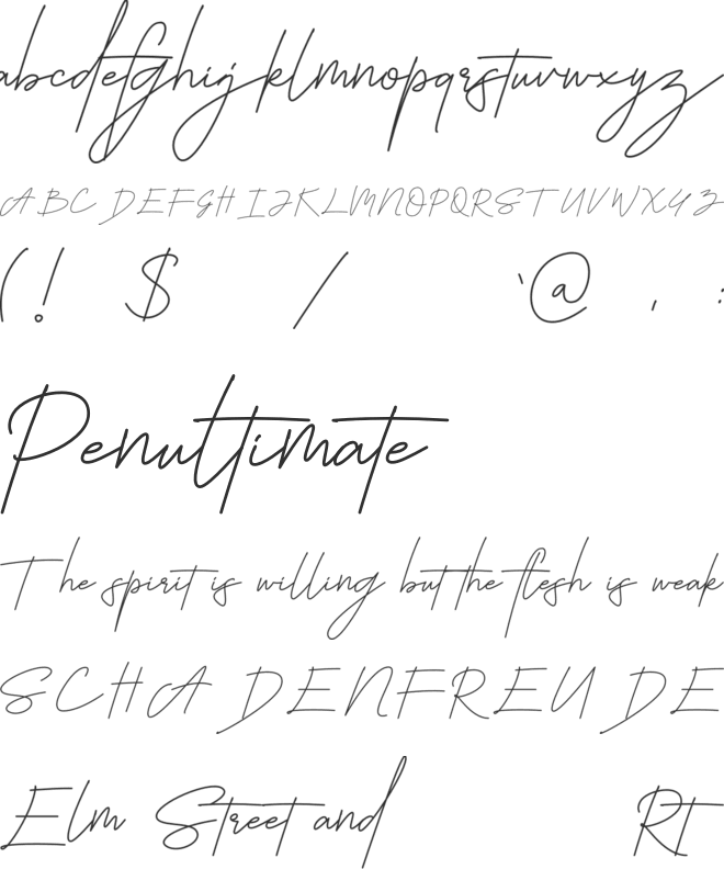 Ballifornia Signature font preview