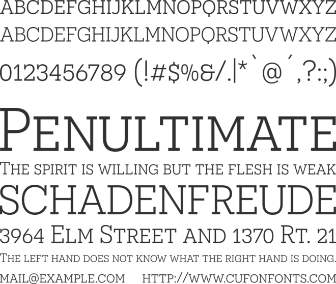 Novecento slab Book font preview
