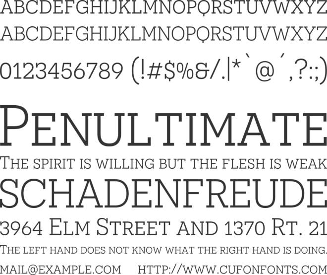 Novecento slab Book font preview