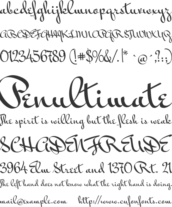 Mr Bedfort font preview