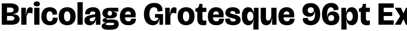 Bricolage Grotesque 96pt ExtraBold (Variable) font