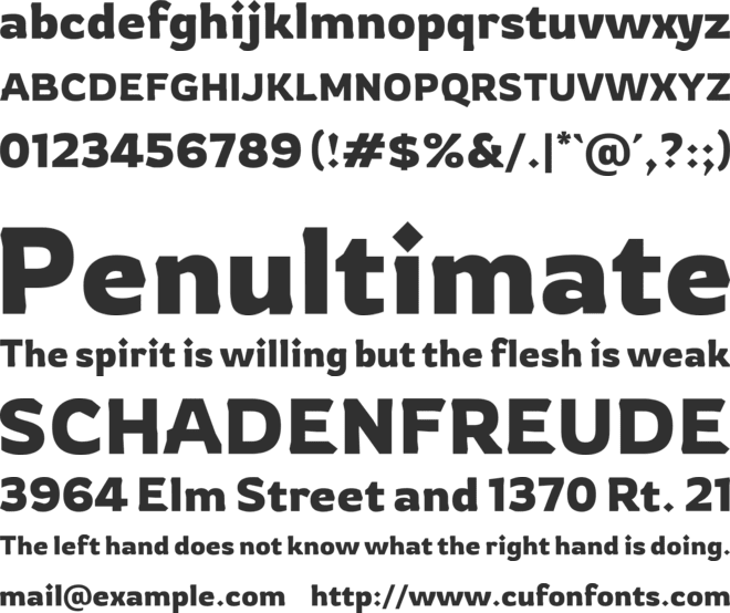 Rowdies font preview
