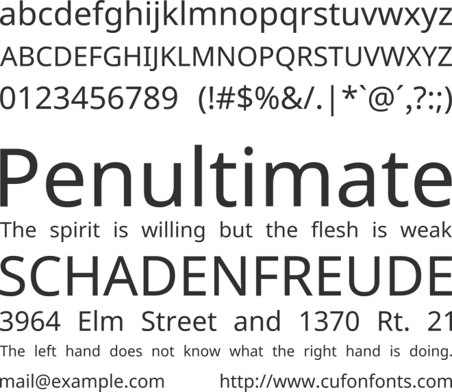 Noto Traditional Nushu font preview