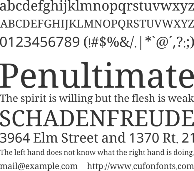 Noto Naskh Arabic font preview