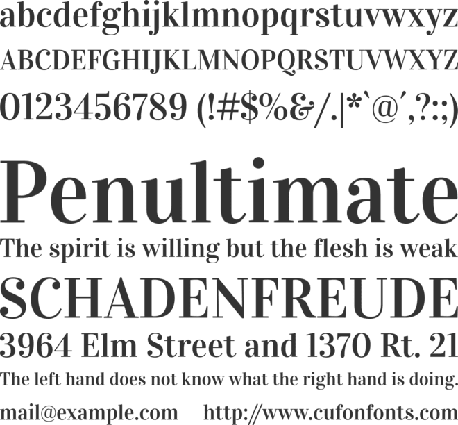 Vidaloka font preview