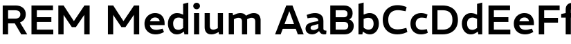 REM Medium (Variable) font