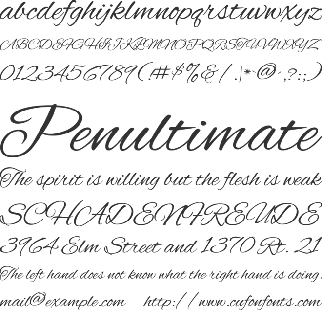 Alex Brush font preview