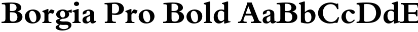 Borgia Pro Bold font
