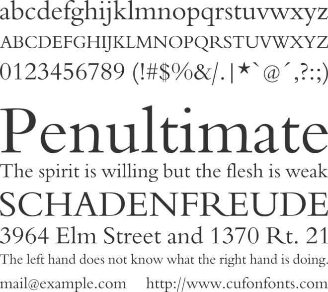 Borgia Pro font preview