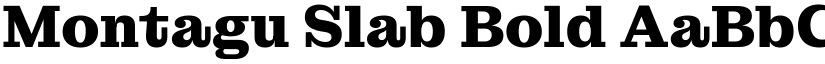 Montagu Slab Bold (Variable) font