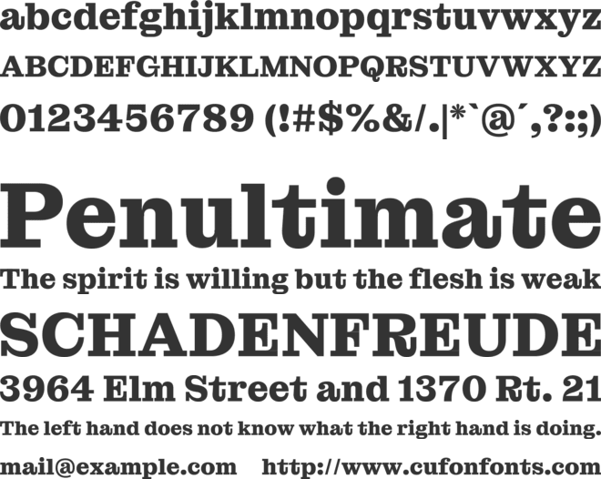 Montagu Slab font preview