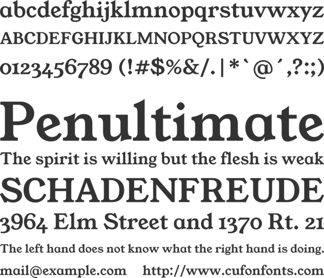 Young Serif font preview
