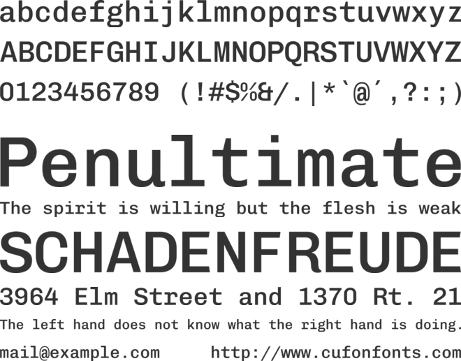 Chivo Mono font preview