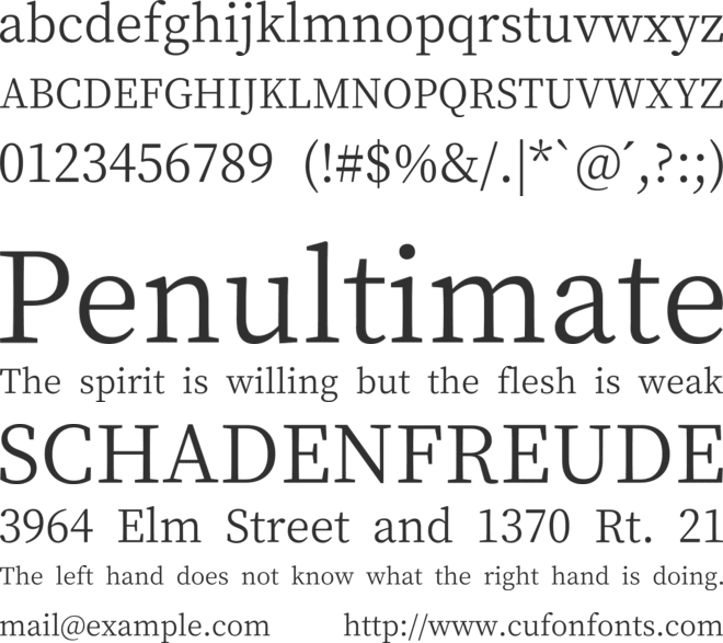 Noto Serif Tangut font preview