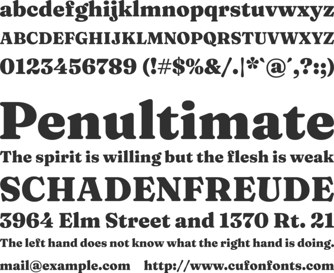 Fraunces font preview