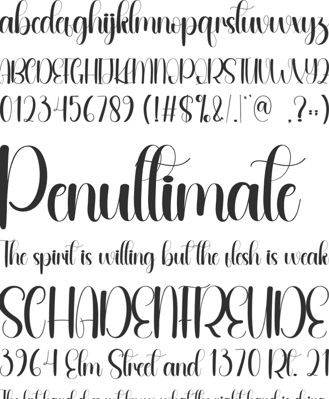 Valuntary font preview