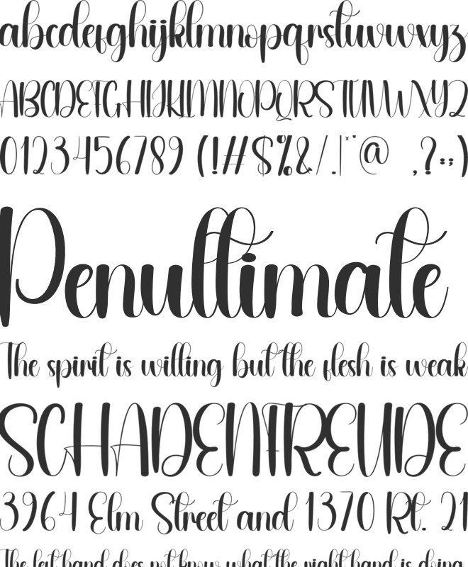 Salty font preview