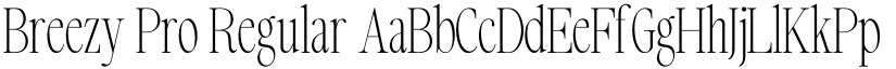 Breezy Pro Regular font