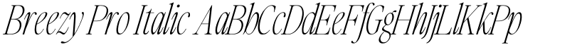 Breezy Pro Italic font